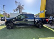 FORD F-150 PLATINUM