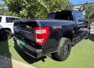 FORD F-150 PLATINUM